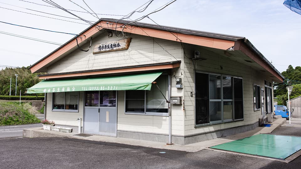 RIKYU Matcha tea fields
