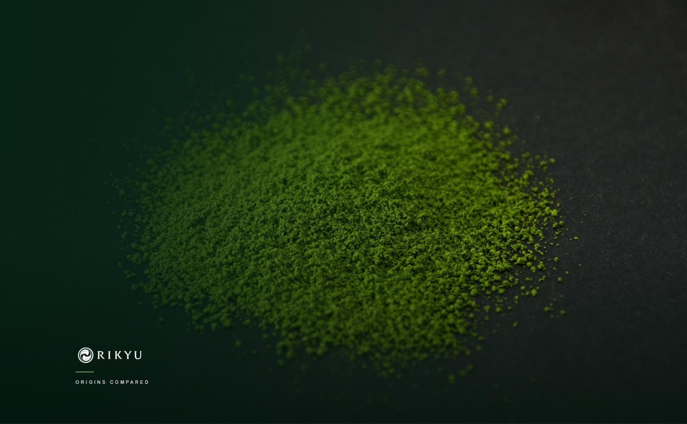 Japanese Matcha vs. Chinese Matcha: Understanding the Difference