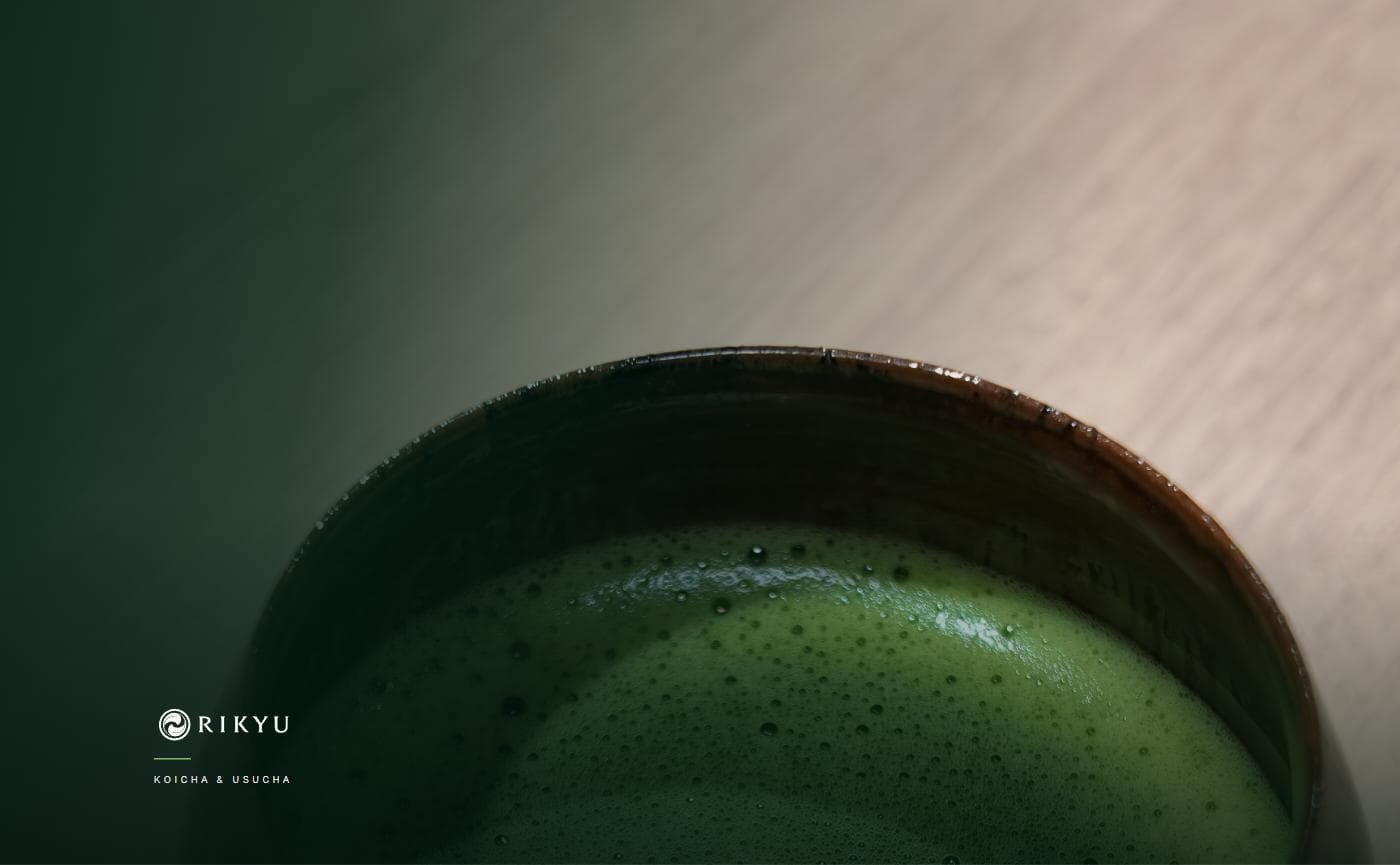 Koicha and Usucha Culture: The Deep Traditions of Japanese Tea Ceremony