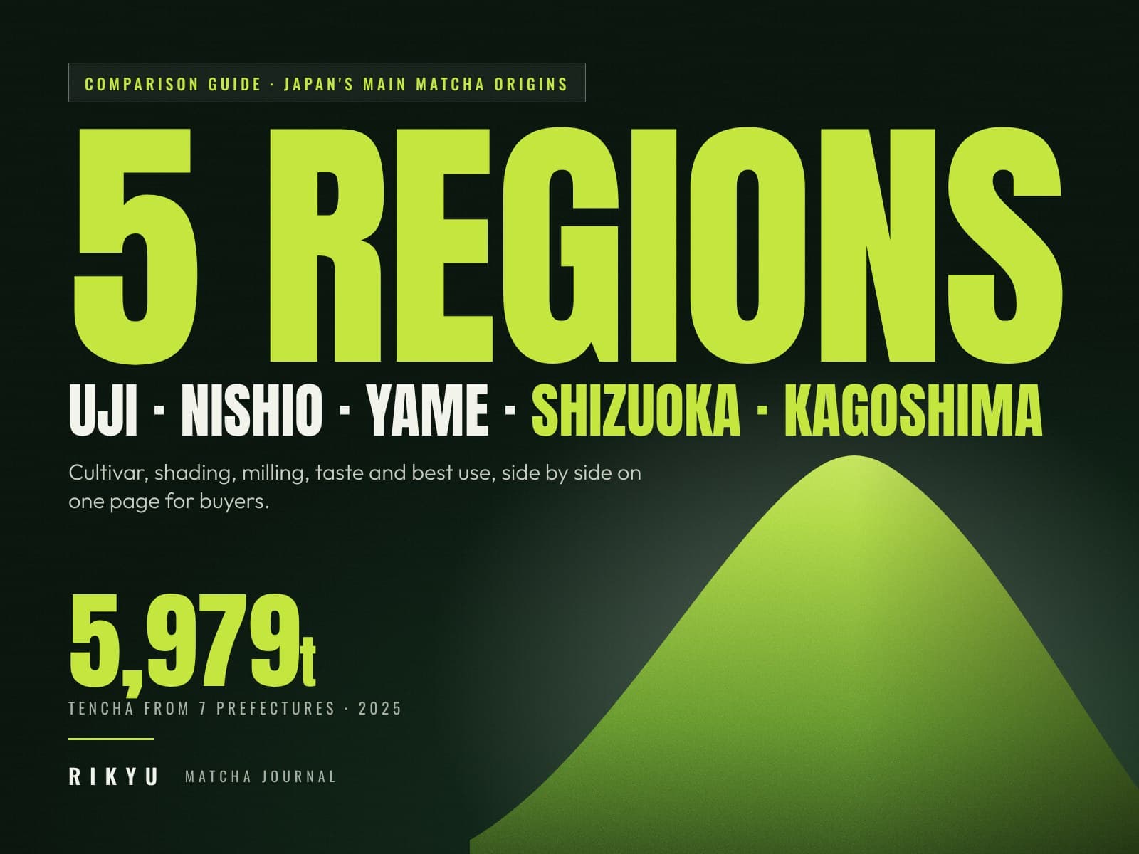 Japanese Matcha Regions Compared: Uji, Nishio, Yame, Shizuoka and Kagoshima