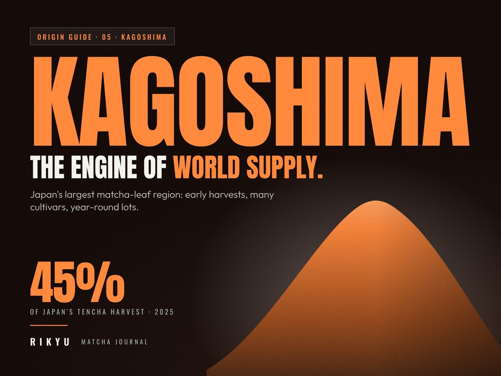 Kagoshima Matcha: Japan's Largest Matcha Region, Explained