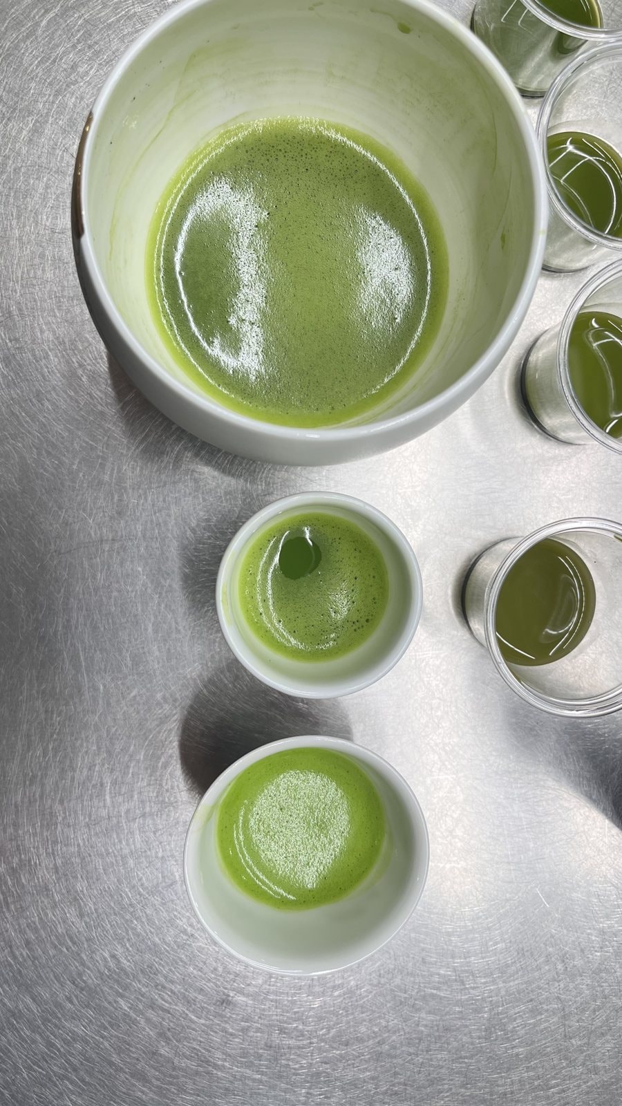 A Visit to Our Hand-Picked Matcha Farm in Kyoto