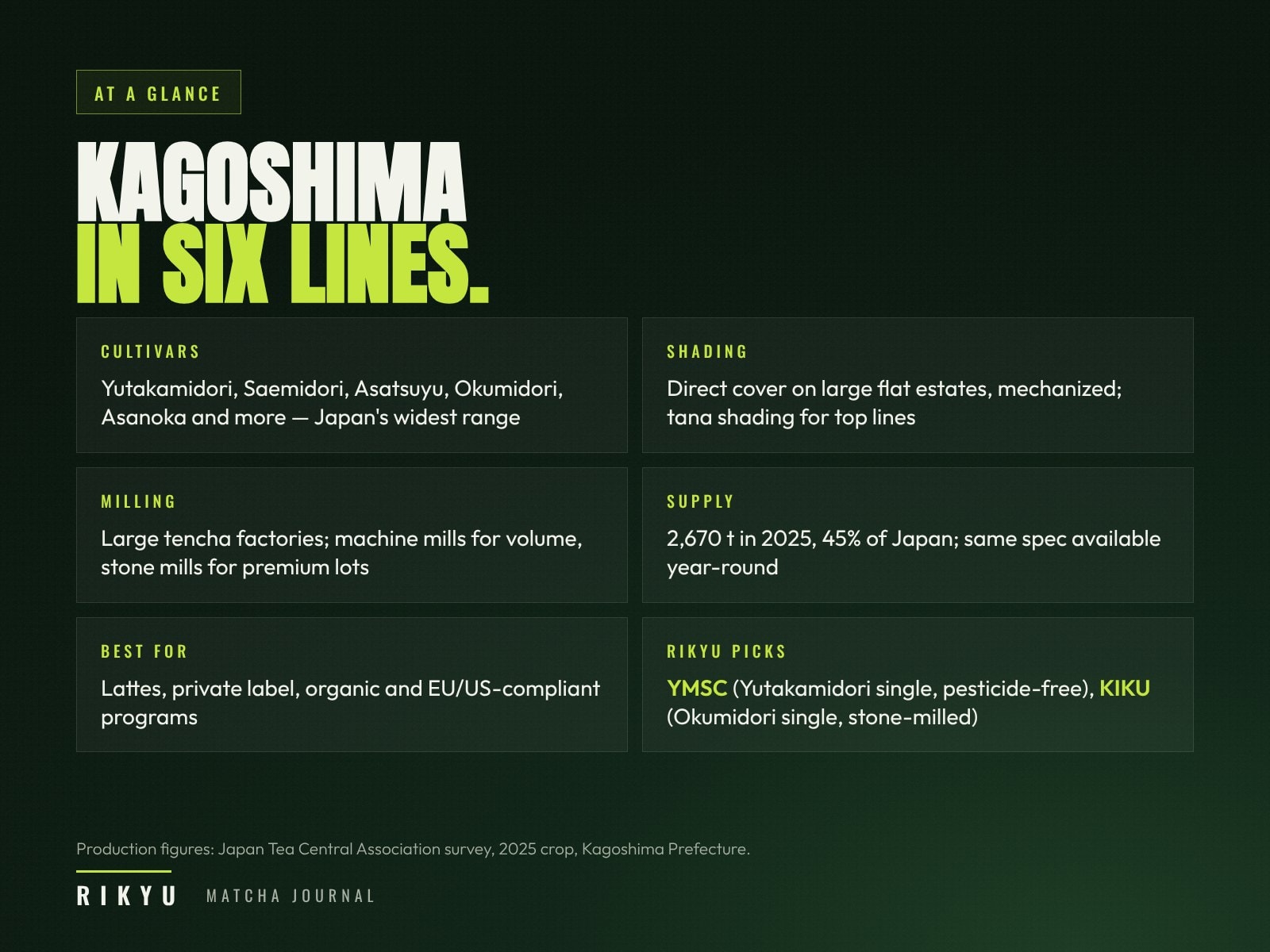 Kagoshima matcha at a glance: cultivars Yutakamidori, Saemidori, Asatsuyu, Okumidori and Asanoka; direct covering on large flat estates with scaffold shading for top lines; large tencha factories with machine and stone mills; 2,670 tons in 2025, 45% of Japan; best for lattes, private label and organic or EU and US compliant programs; RIKYU picks YMSC and KIKU.