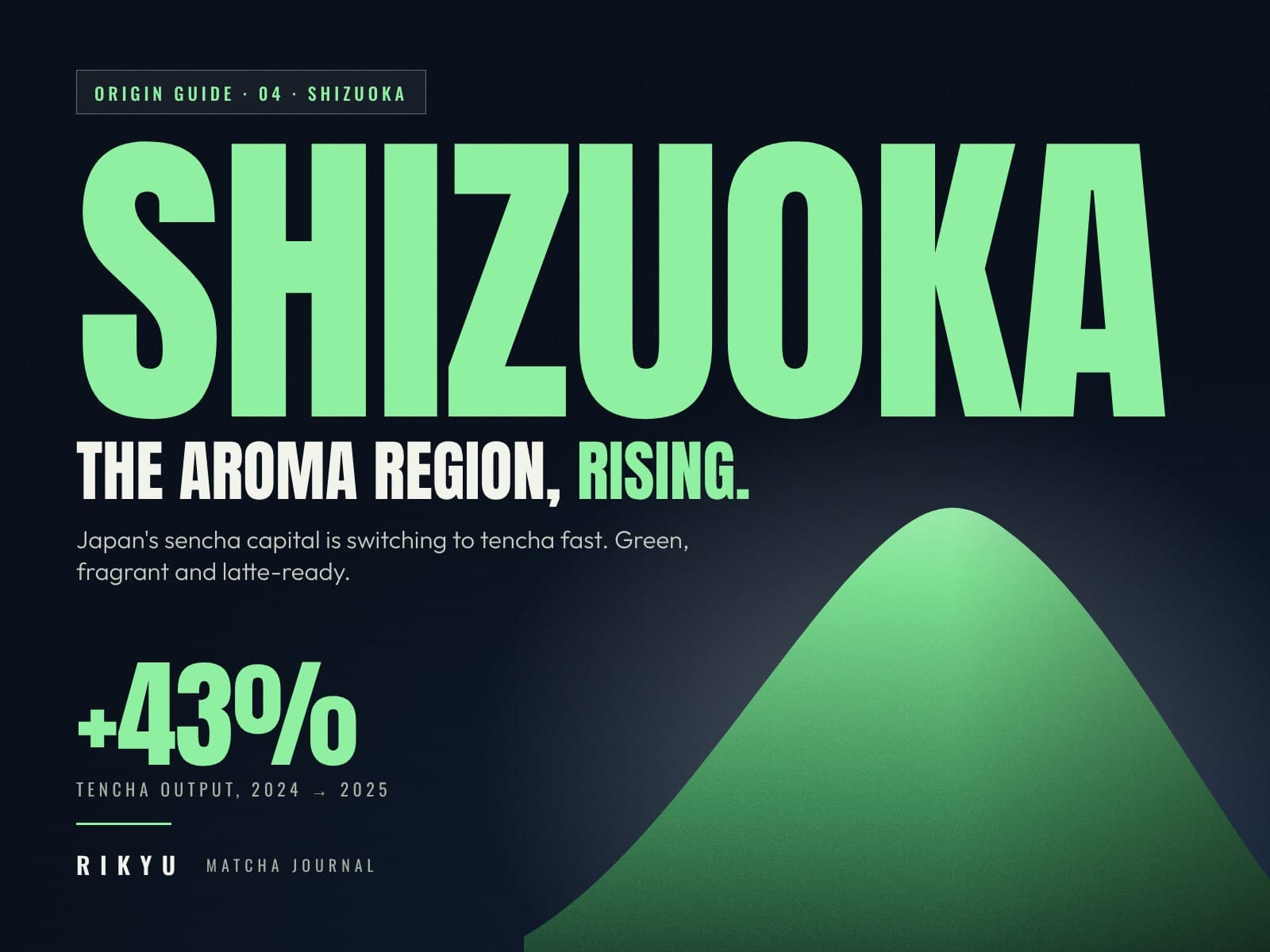 Shizuoka Matcha: The Aroma Region on the Rise