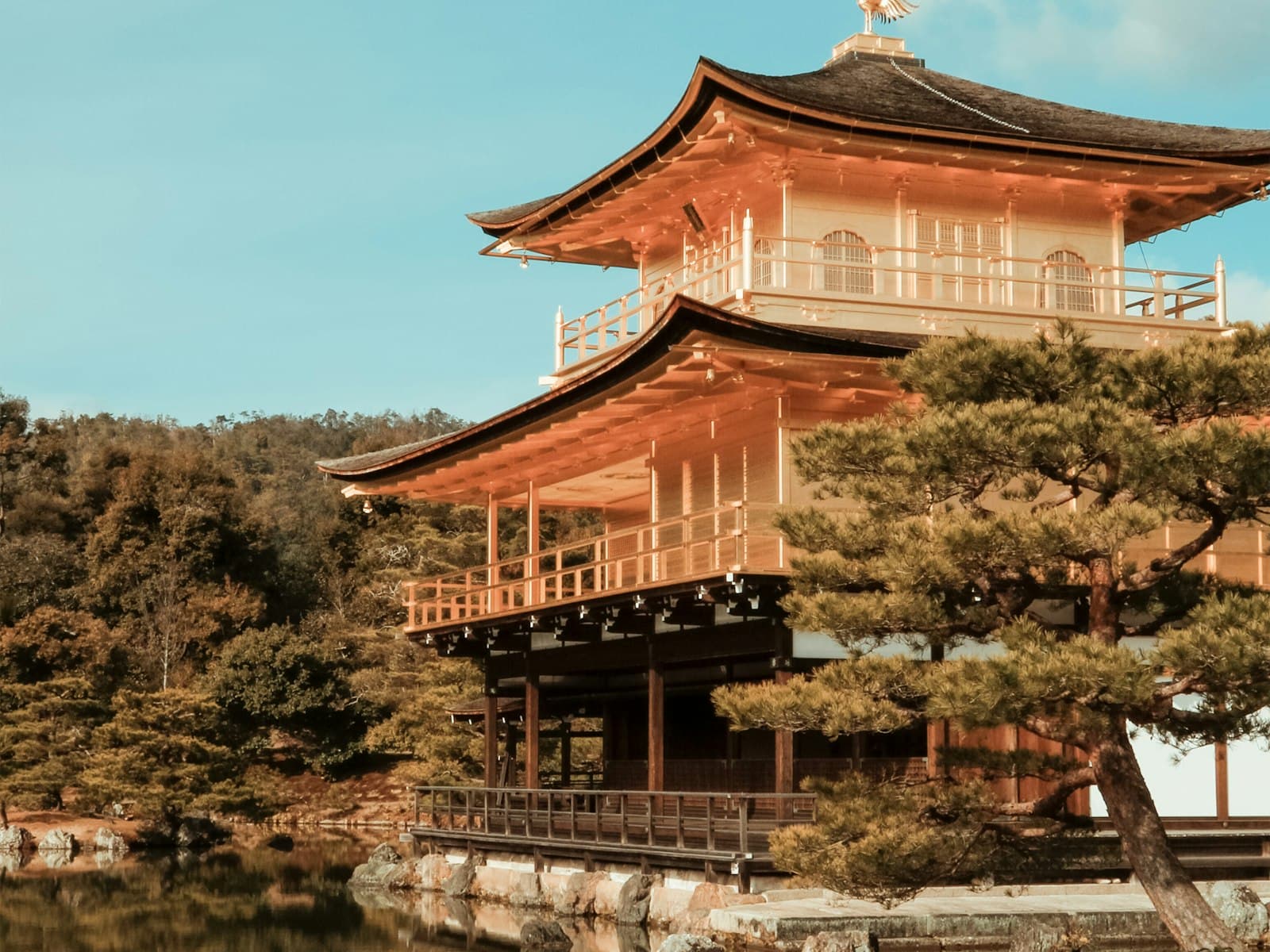 800 Years in One Page: A Timeline of Ujicha